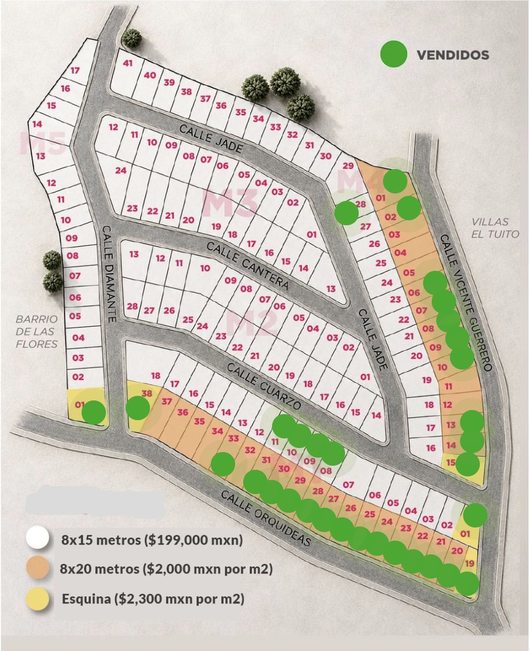 Master Plan de Fraccionamiento El Pedregal